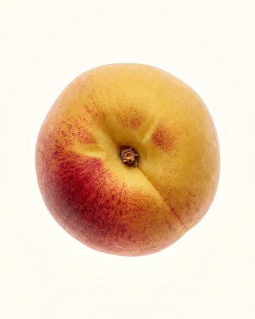 Yellow Peach