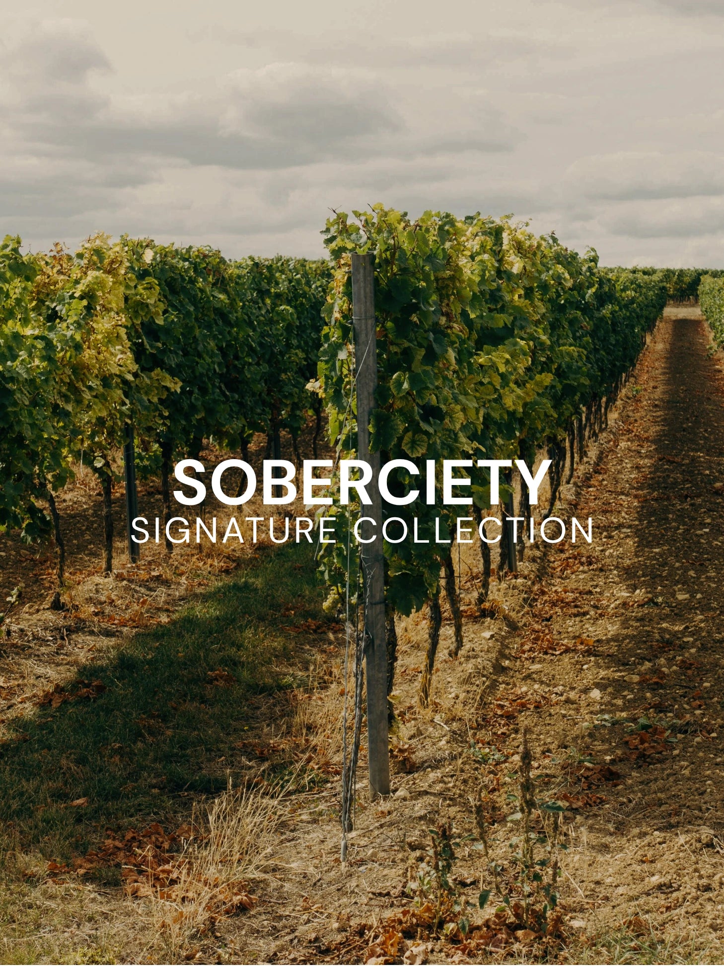 SOBERCIETY