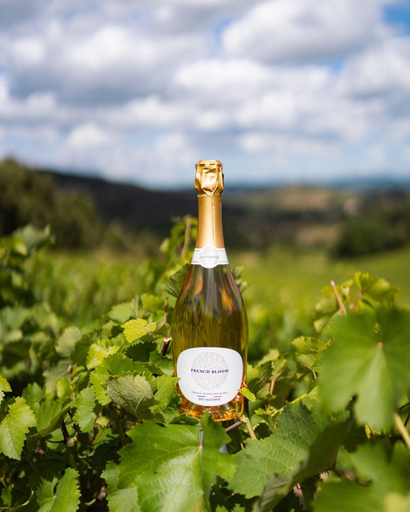 Flasche French Bloom im Weinberg vor blauem Himmel