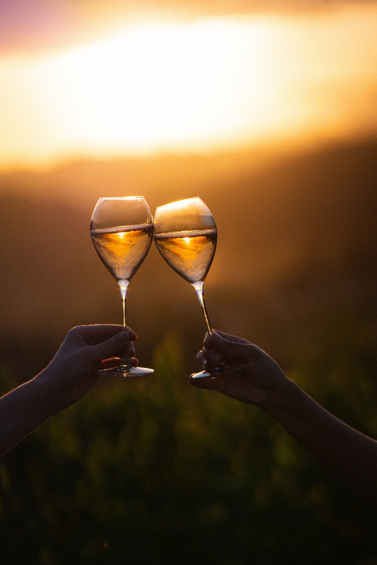 Zwei Hände stoßen mit Gläsern French Bloom im Gegenlicht der Abendsonne an