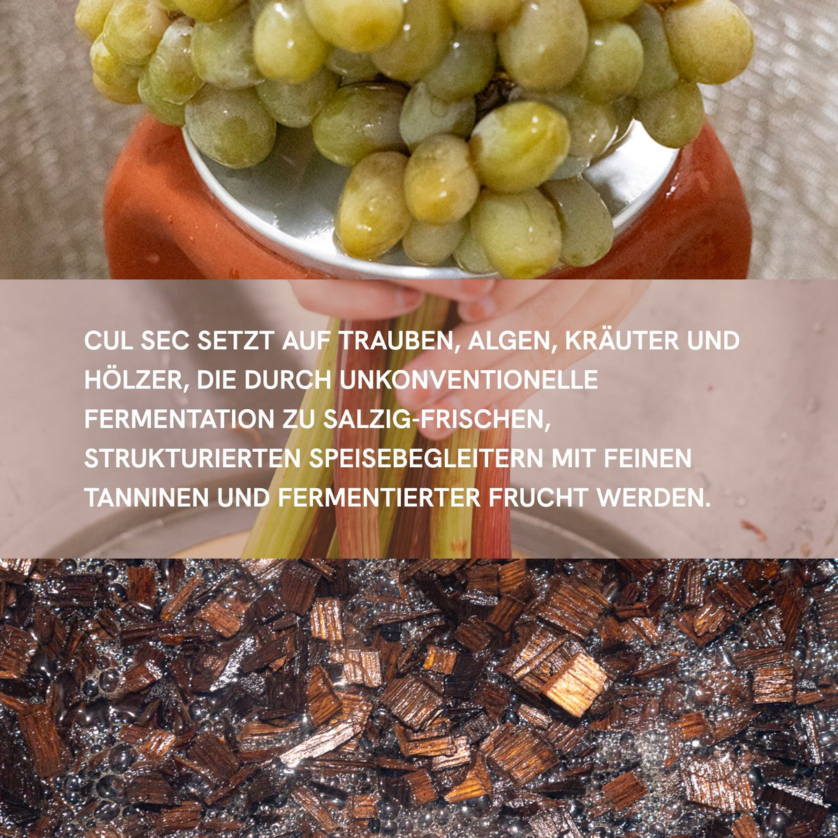 Cul Sec Infokachel mit Trauben, Rhabarber und Holzstücken, dazu ein Text über die Fermentation und Cul Sec zum Essen