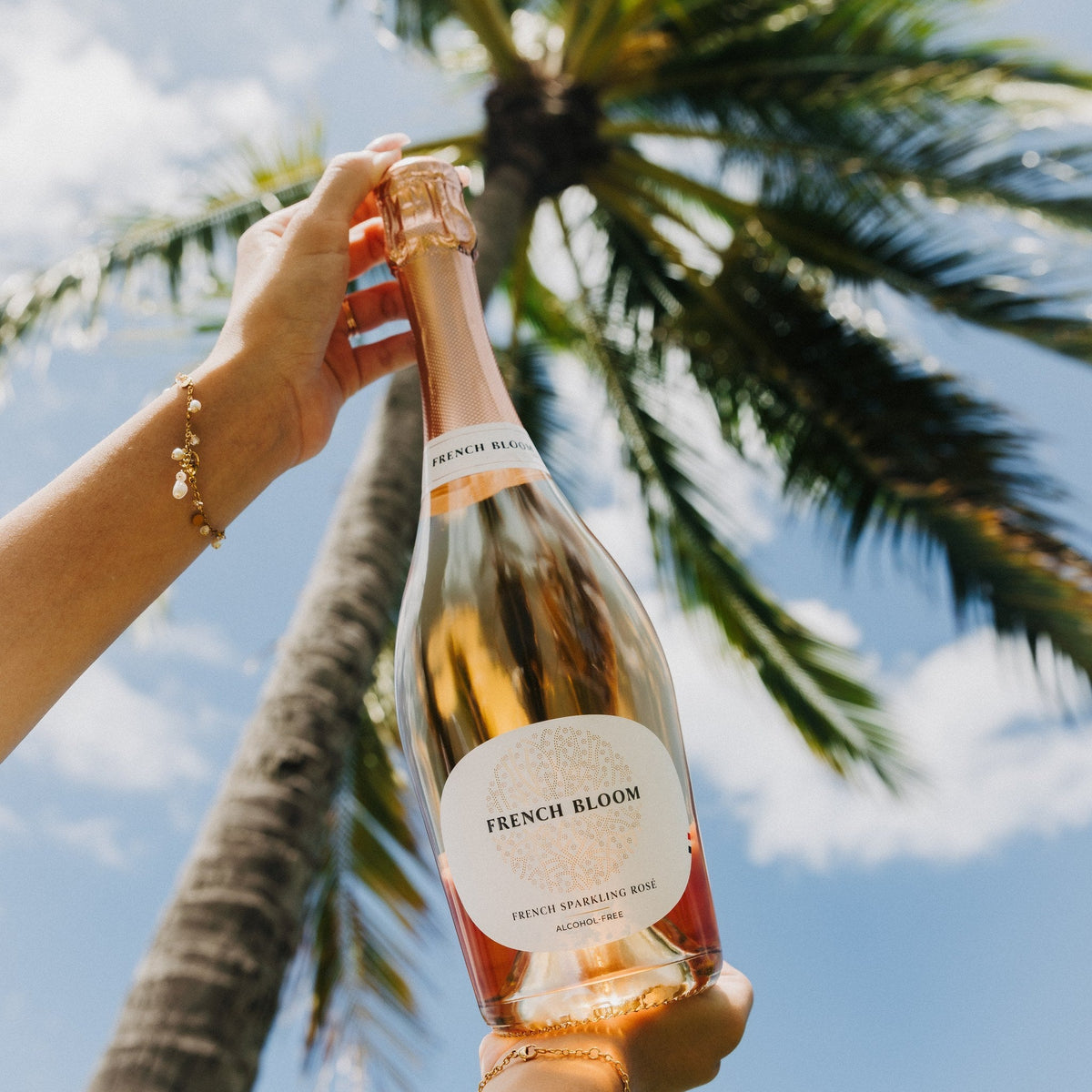 French Bloom Le Rosé, in die Höhe gehalten vor einer Palme und blauem Himmel