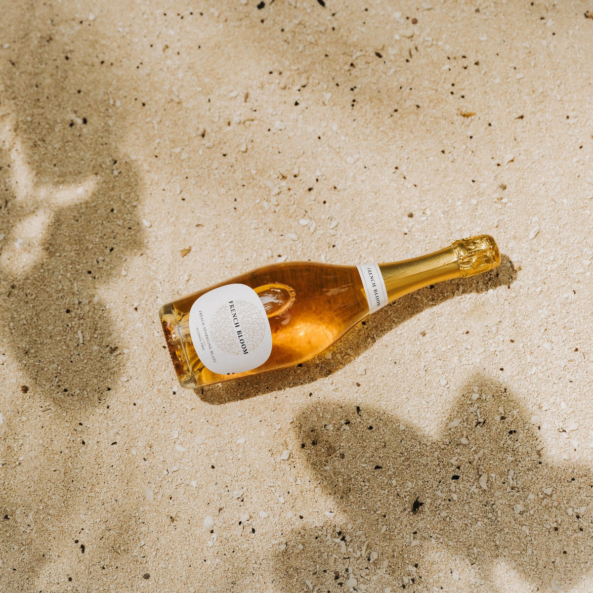 French Bloom Le Blanc liegt im hellen Sand, Schatten von Blättern