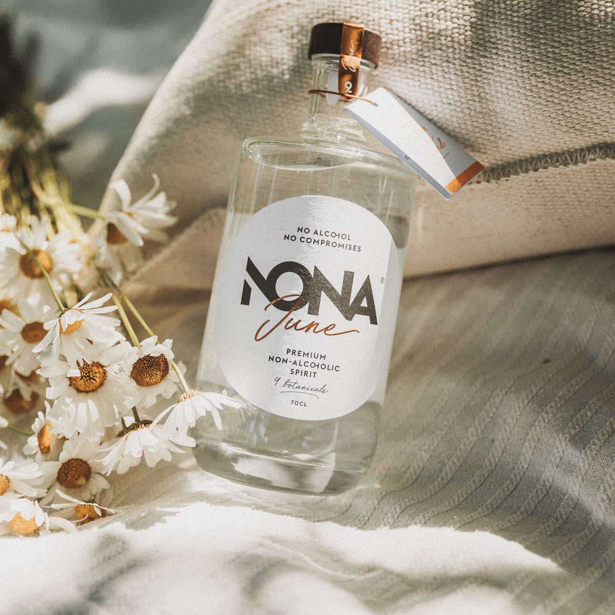 NONA June zwischen Gänseblümchen auf einer hellen Decke